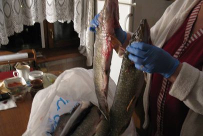 Бійців у госпіталі почастують смачненькою рибкою